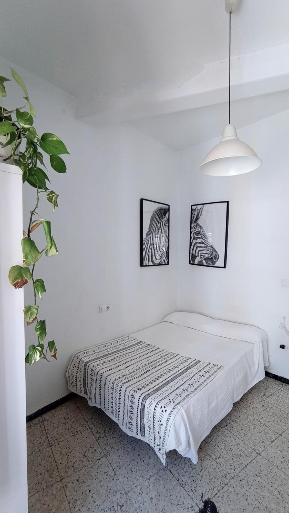 Preciosa Habitacion En Pleno Centro De Sevilla Ideal Para Hacer Turismo Y Vivir La Ciudad Eksteriør bilde